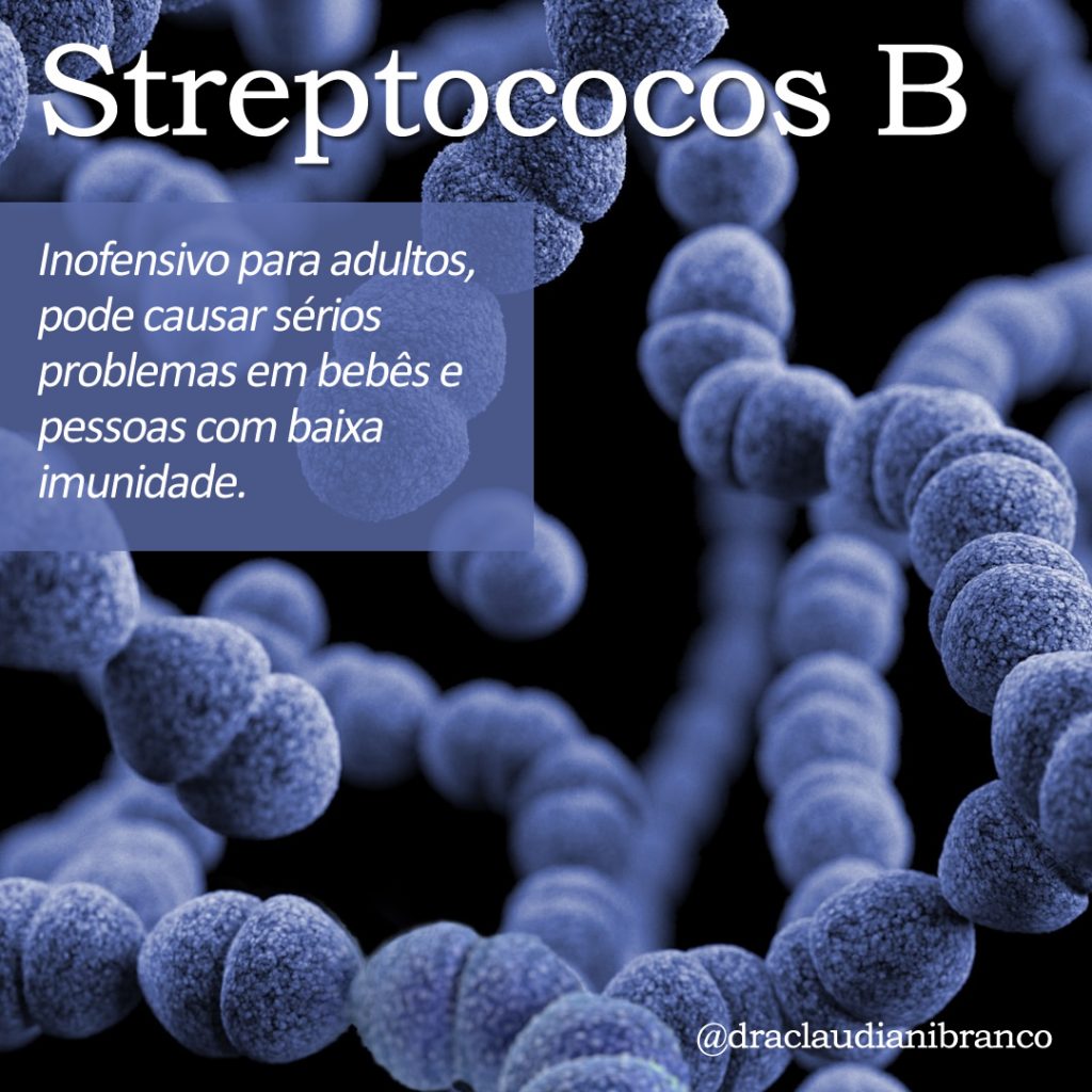 Dra Claudiani fala sobre o perigo para bebês do Streptococos B. Foto: CDC no Unsplash.