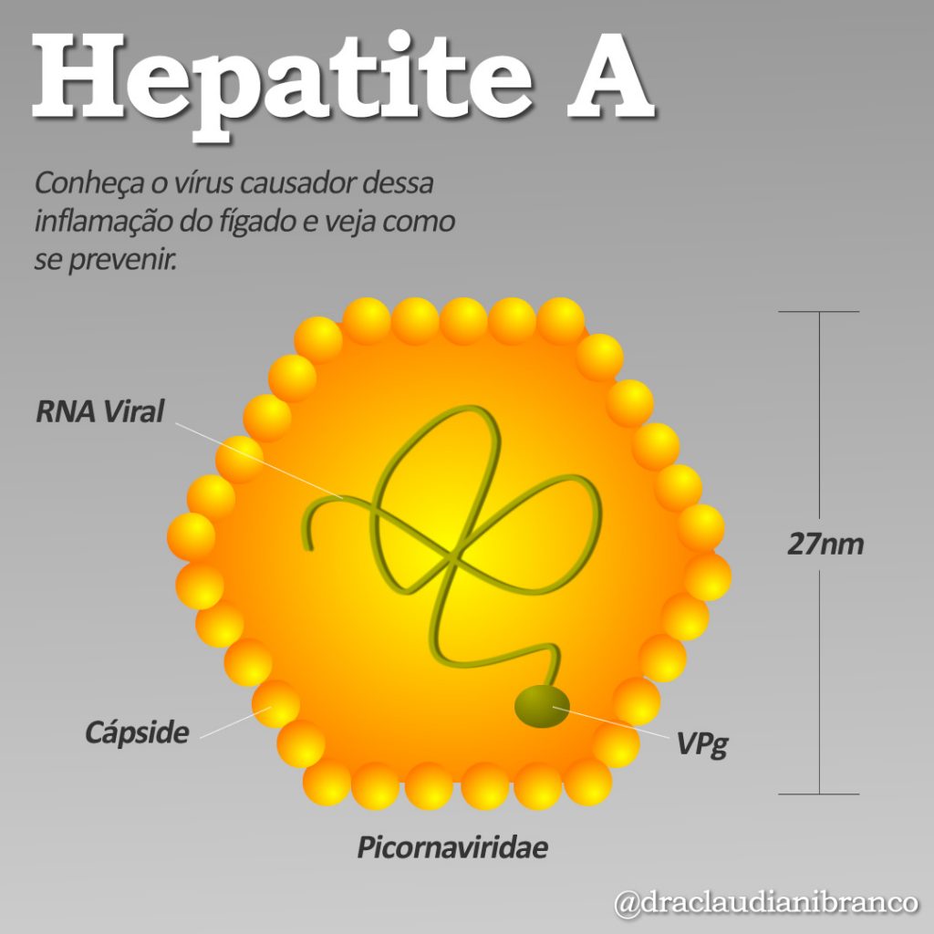 Dra Claudiani Branco fala sobre a Hepatite A. Infográfico por SNC Mídia.