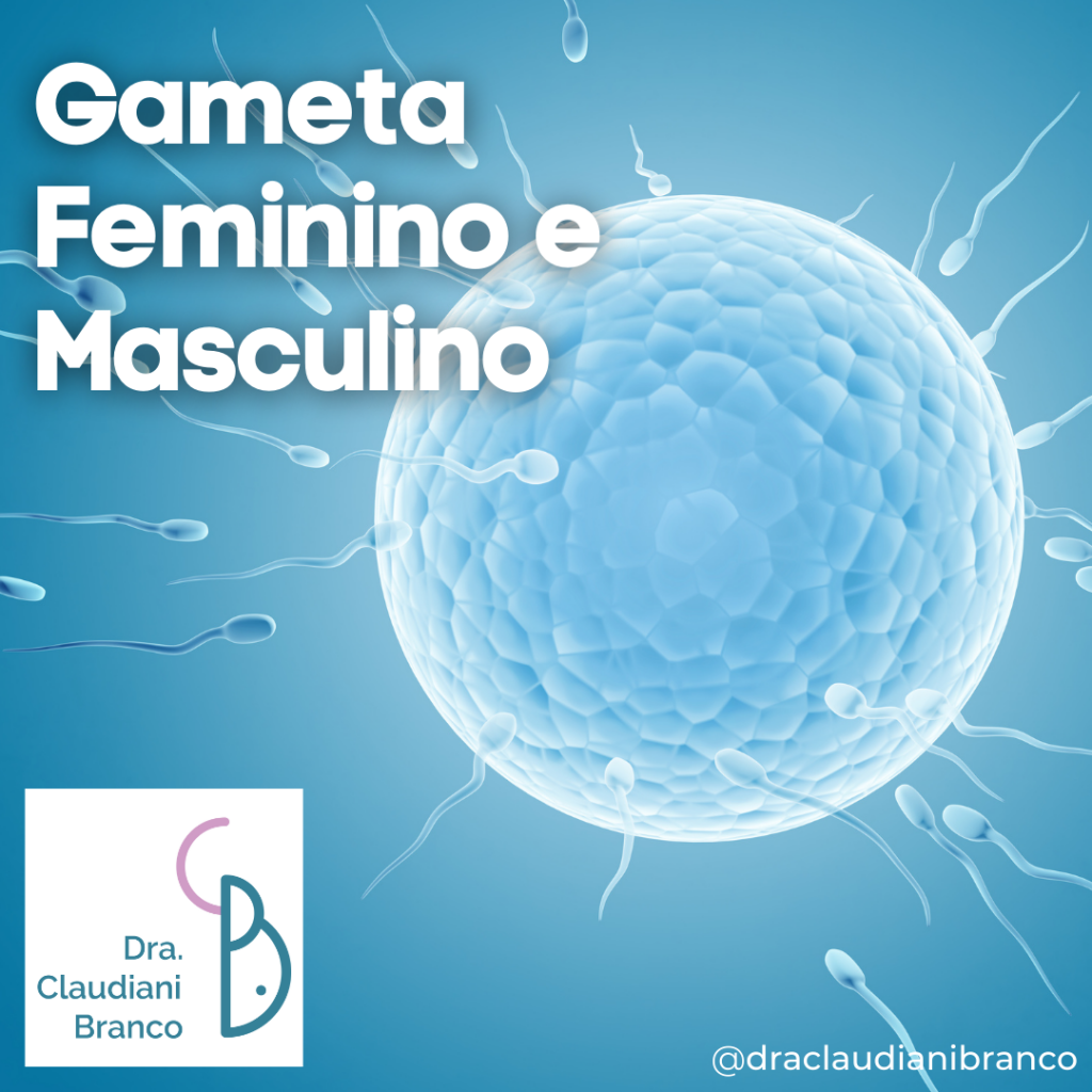 Dra Claudiani Branco Ginecologista fala sobre os Gametas Feminino e Masculino. Foto em Canva.com.