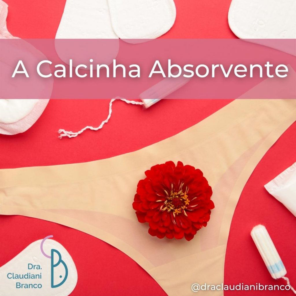 Menstruação, o que é? – Dra Claudiani Alves Branco Gregorin