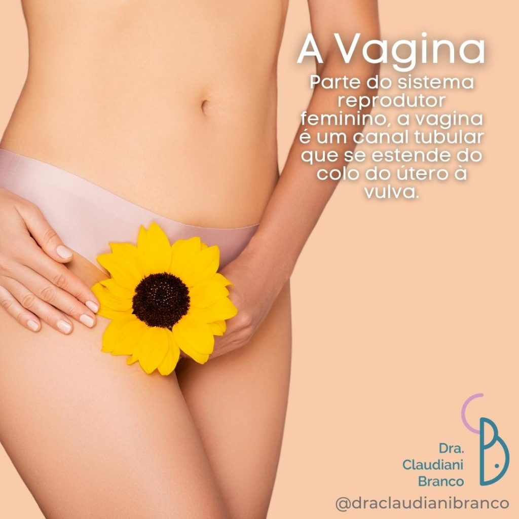 Dra Claudiani Branco Ginecologista e Obstetra explica a estrutura da Vagina.