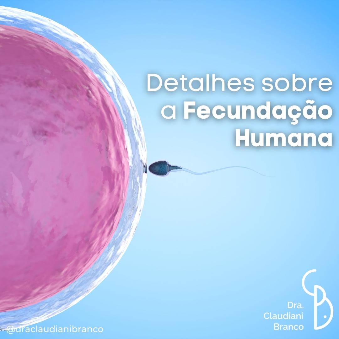 Fecundação Humana – Dra Claudiani Alves Branco Gregorin